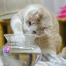 장난감세상 이미지