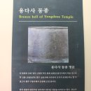 용다사 동종 이미지