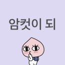 리벤네일 | Mrs. GREEN APPLE The White Lounge 12/20, 2/7, 3/3 도쿄 공연 후기