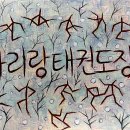 성인 태권도장 이미지