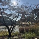 천리포수목원 | 태안 가족 나들이 추천 천리포수목원 후기