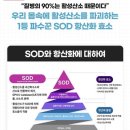 미라클건강센터 이미지