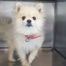 오거리 공영주차장 이미지