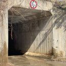 7번국도 동해대로(현북면) 이미지