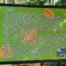 칠봉산 농장 이미지