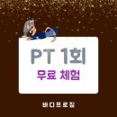 바디프로