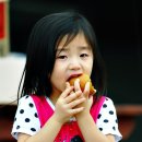 24차 바루이 정출(학암포)