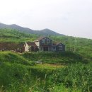 푸르름의 농원 이미지