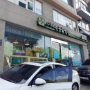 이태원동물병원 | 전복이 이태원동물병원 내원 후기/발바닥 습진/대형견 병원추천