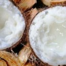 성의농장 2 이미지