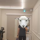 바플하우스 이미지