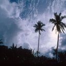 에코펜션 이미지