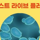 (주)에프앤티바이오 이미지