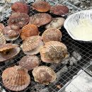 신영통 태안농협 앞 | 🌊 태안 사목공원 캠핑장 ㅣ 바다 바로 앞 오션뷰 노을 뷰맛집 캠핑장 2박 후기 (명당, 바람, 해루질...