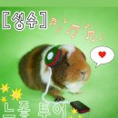 대구시청별관앞 교통섬 | [공지] 💬[성수]에서 놀기니휘기_소문난성수감자탕 / 카페 / 소품샵 / 가챠샵 / 한정선