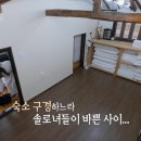 포천 민박 네이버블로그