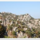덕산면016 Daum카페