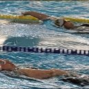 종합자전거 이미지