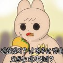 뚱브라더스 이미지