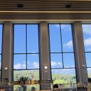 작은나무숲 | 용인 자작나무 숲 방문 후기 : 핑크 뮬리와 함께한 가을 드라이브