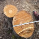 은평-051 이미지