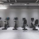 바디메이트 이미지