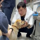 솔 동물의료센터 이미지