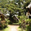 통나무파크 이미지