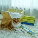 독한고양이 | 고양이 화장실 악취 해결 비법 냄새 차단에 좋은 쏜쓰백 배변 봉투