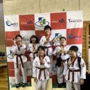 승리마루 명성도장 이미지