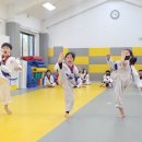 제일아이캔태권도 이미지