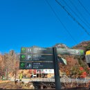 아트카스토리 | 기사포함렌트카 태국 외국인 관광객 포천 여행기