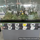 밀레쥬 에듀파크 | 시흥 거북섬 놀거리 밀레에듀파크 후기