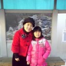 고벨화
