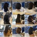 빠마 - 제주시 구좌로 75 | 빠마