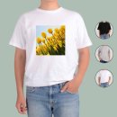 자연의향기 이미지