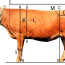 강원특별자치도축산기술연구소 이미지