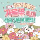 장성이벤트 이미지