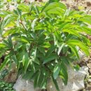 둔덕농장3 이미지