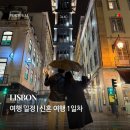 마이스토리투어 | 신혼여행 1일차 일정 (마이 스토리 호텔 테주, 만테이...castico 해물 밥, 타임아웃 마켓, 별빛 야경 투어)