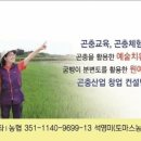 엔미디어 - 동구 자성로141번길 11 | 엔미디어