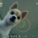 :다
