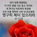 감사하는 생활 이미지