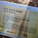 호수의 수호자_B 이미지