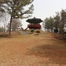 성흥산 솔바람길 이미지