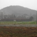 박사마을 이미지