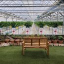 금상농장 이미지