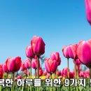 행복한하루 이미지