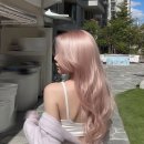 핑크미용실 - 익산시 | 핑크미용실