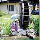 일랑이다 이미지